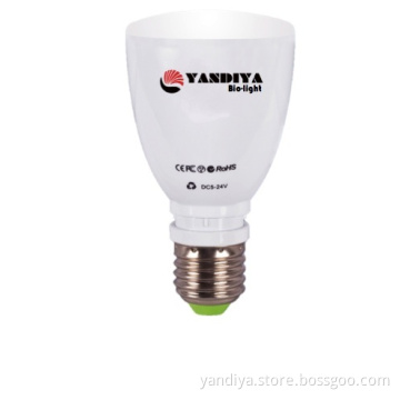 12V DC REMOTE LED BULB